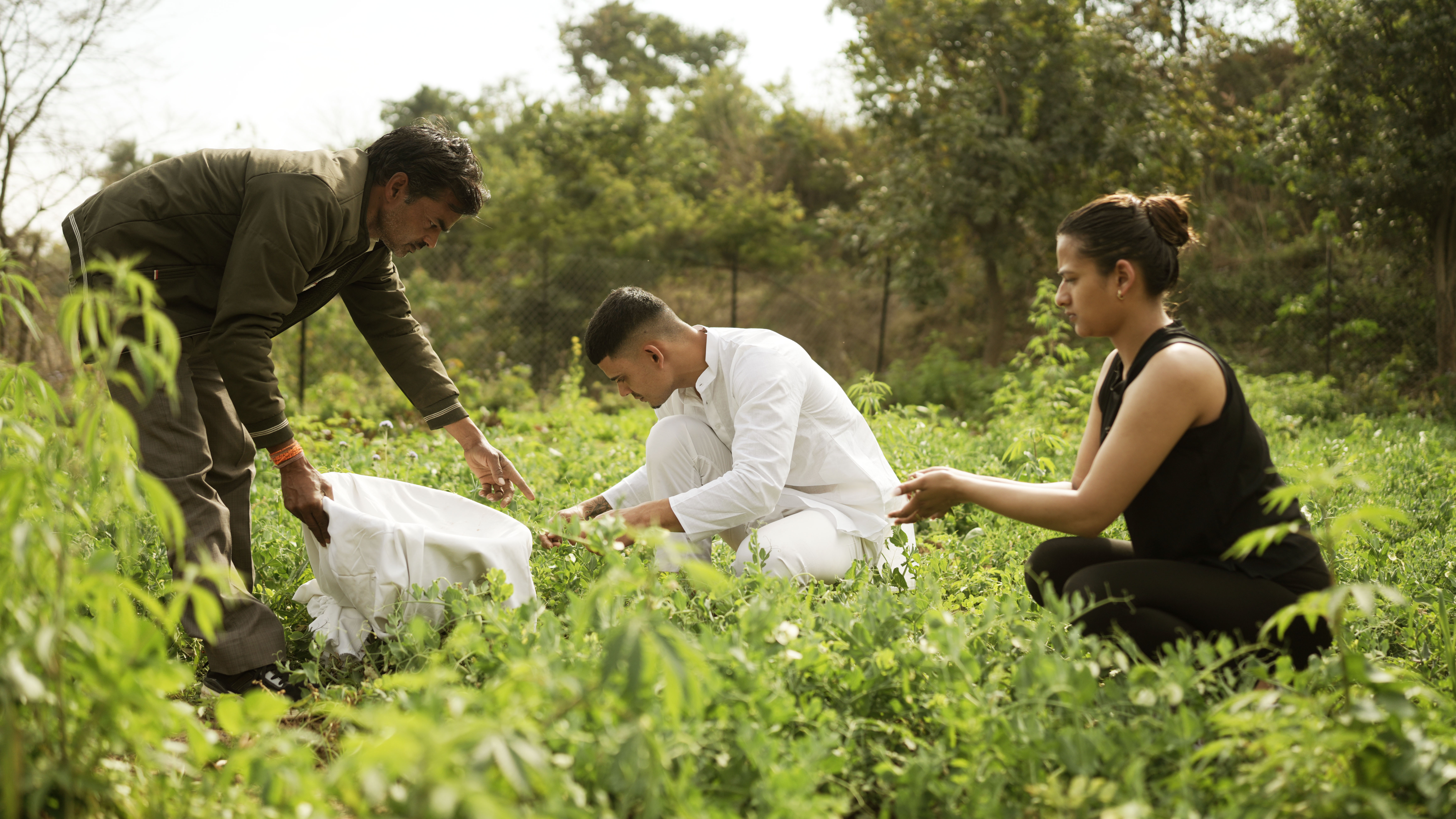 Organic farming at VVAC